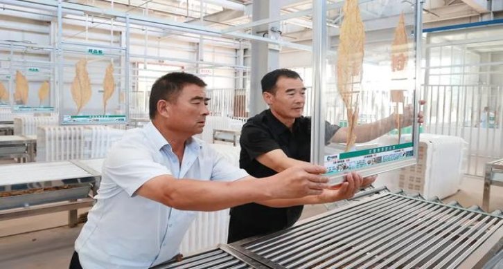 钻石硬蓝新一代多少钱一盒？钻石硬蓝新一代多少钱一包2024？