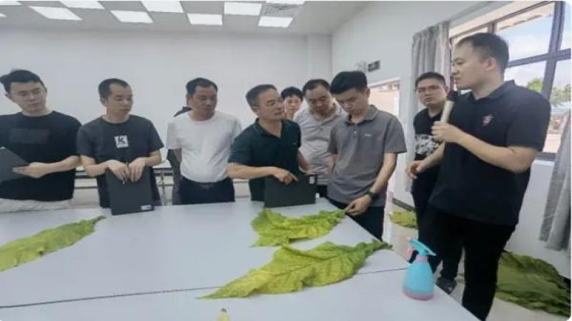 狮牌(阆苑传奇)批发价格，狮牌(阆苑传奇)价格表和图片