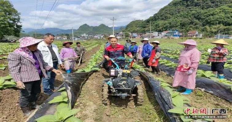 长城(胜利)一手渠道，长城(胜利)价钱批发