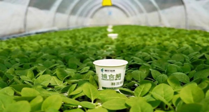 庐山(新)价格表和图片 庐山(新)价钱批发 