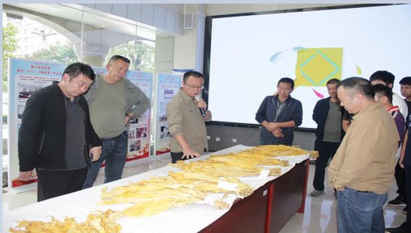 今日公布！外国烟在哪个app可以购买外国烟专卖网“天崩地塌”