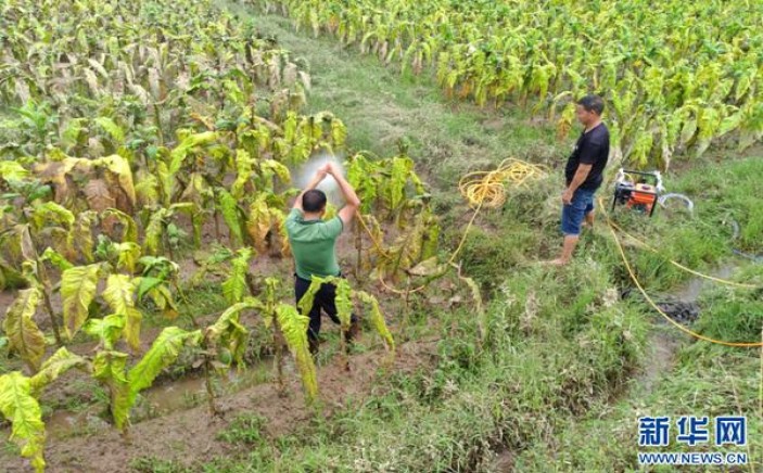 黄鹤楼雪之景香烟价格表2024 黄鹤楼雪之景价钱批发 