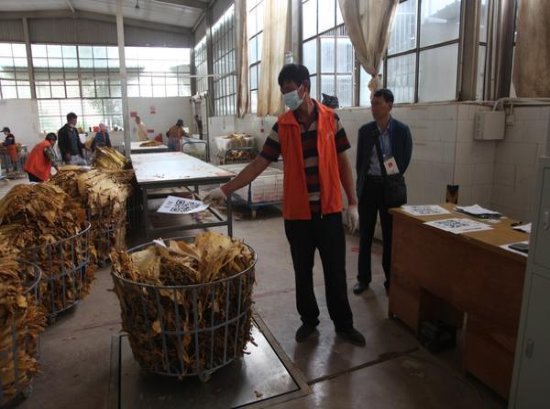 骆驼(软黄中免版)厂家渠道，骆驼(软黄中免版)香烟价格表2024