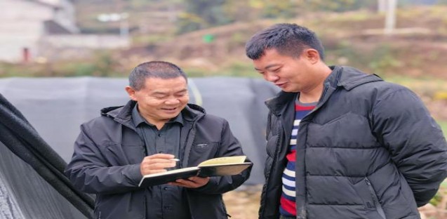 内幕！哪里有仿真烟出售“人外有人”