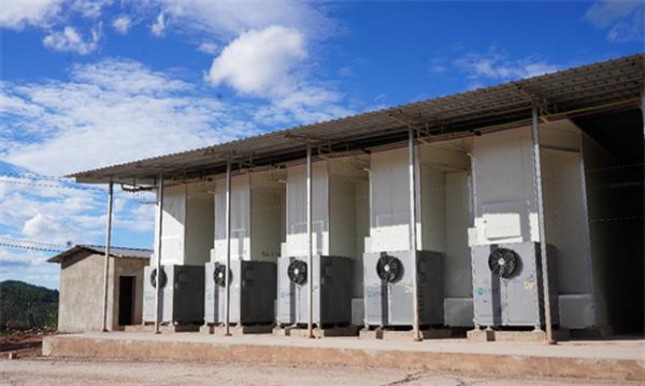 黑杰克5日免版价格表一览 黑杰克5日免版多少钱一盒？