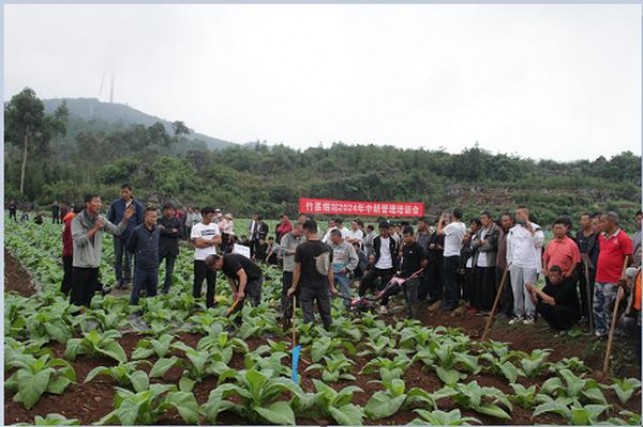 柔和七星软6mg日免版价格查询 柔和七星软6mg日免版多少钱一包？