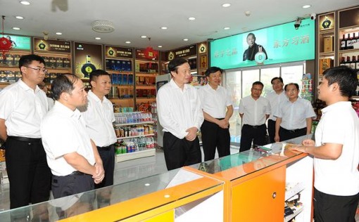 黑猫薄荷 出口荷兰价钱批发 黑猫薄荷 出口荷兰价钱批发 