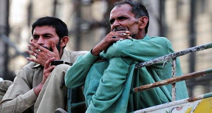 娇子(新概念)价格表一览 娇子(新概念)香烟价格 