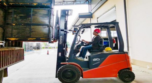 KOOL(Looped KINGS日版)什么价格？KOOL(Looped KINGS日版)多少钱一盒2025？