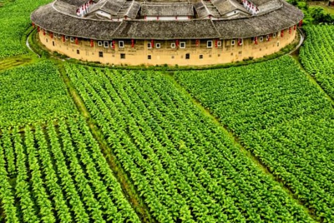 红塔山铂金中支批发价格是多少？红塔山铂金中支价格表和图片