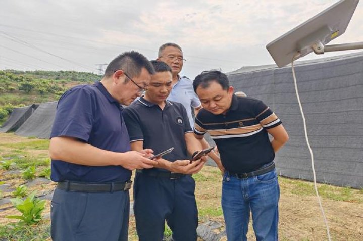 美国精神(薄荷5mg日版)图片及价格查询美国精神(薄荷5mg日版)价格表一览 