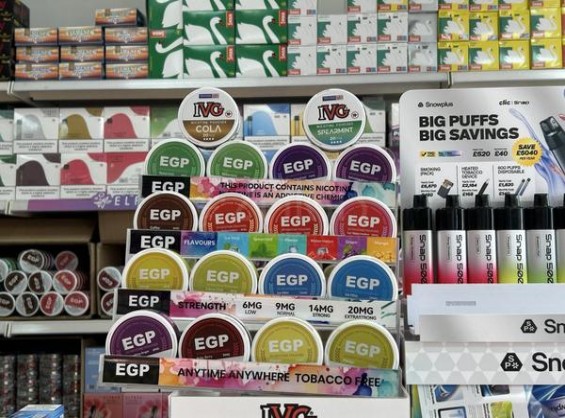 独家报道！esse烟青竹“外柔中刚”