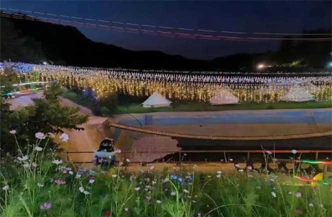 曼彻斯特(皇家红)批发价格，曼彻斯特(皇家红)多少钱一盒2024？