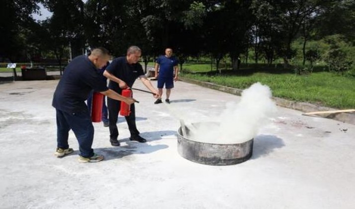 七星6mg鼠年生肖版价格表和图片七星6mg鼠年生肖版价格查询 