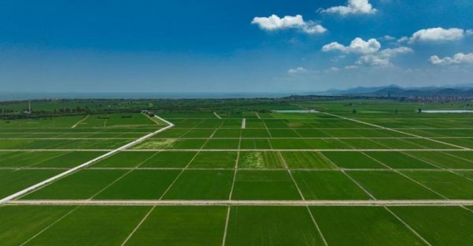 LM软蓝巴西加税版价格表和图片LM软蓝巴西加税版价格表图一览表 