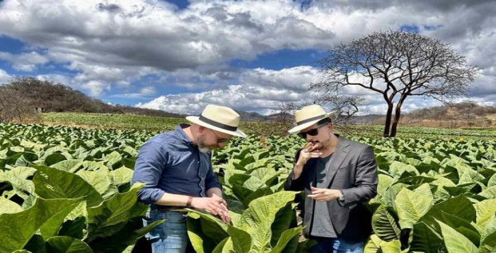 小熊猫硬高级珍品多少钱一包？小熊猫硬高级珍品多少钱一盒？