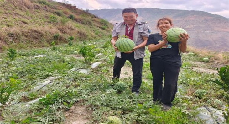 利群逍遥价格查询 利群逍遥多少钱一盒2024？