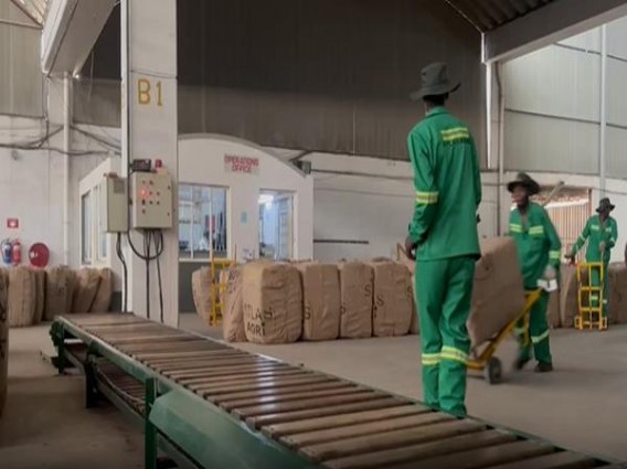 长城(醇雅COCO)价格表和图片 长城(醇雅COCO)多少钱一包？