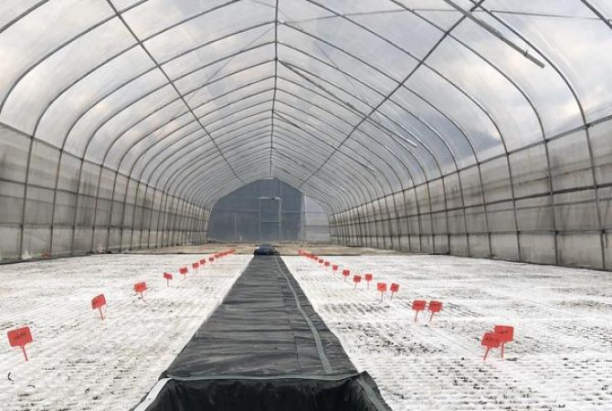 万宝路(硬冰爵)多少钱一盒2025？万宝路(硬冰爵)批发价格是多少？