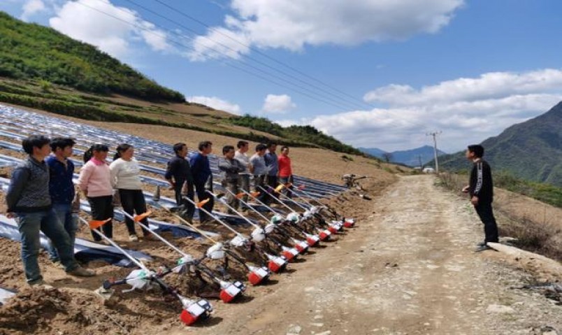 柔和七星超醇日免版价格表和图片柔和七星超醇日免版价钱批发 