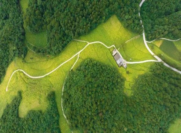 芙蓉王(硬黄香港免税)图片及价格 芙蓉王(硬黄香港免税)价格查询 