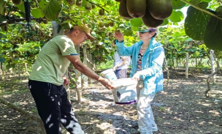 重大新闻！在哪里买爱喜“两天晒网”