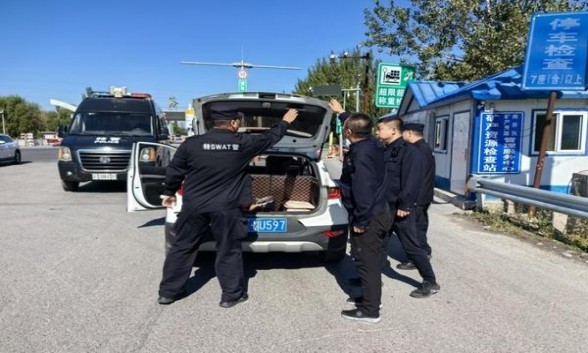 骆驼硬黄1913 Kisa CPB土耳其版价格表和图片骆驼硬黄1913 Kisa CPB土耳其版价钱批发 