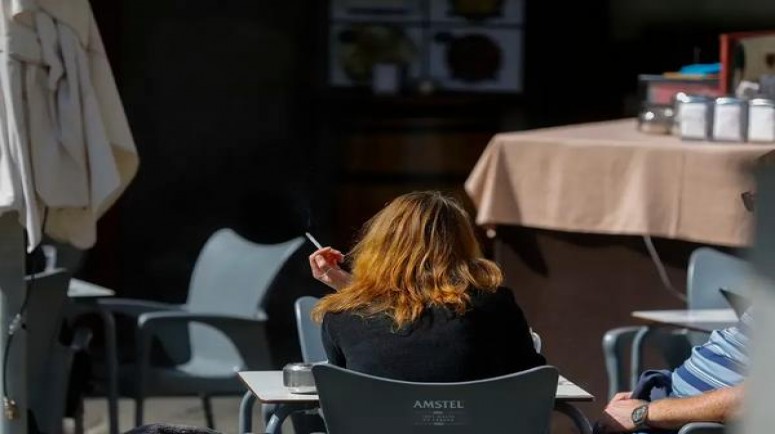 真龙(软赞歌)厂家，真龙(软赞歌)价格表图一览表