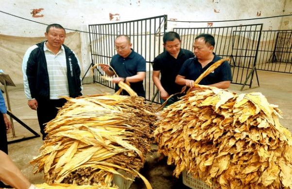 皖烟(极品)参数详解 皖烟(极品)多少钱一包？