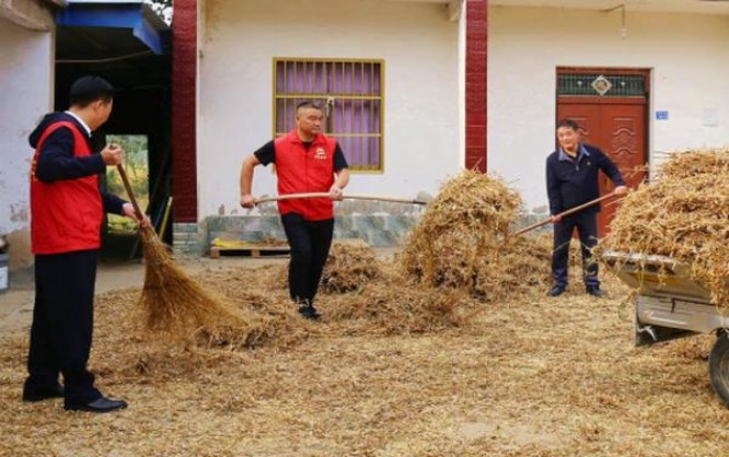 阿里山天韵价钱批发 阿里山天韵多少钱一包？