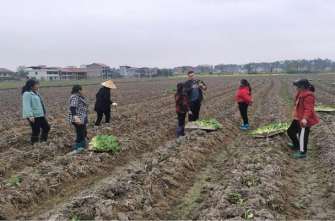 阿里山天香听装价格查询 阿里山天香听装香烟价格表2024 