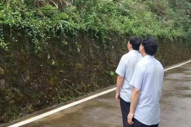 维京海盗(混合型软丹麦版)厂家渠道，维京海盗(混合型软丹麦版)多少钱一包？