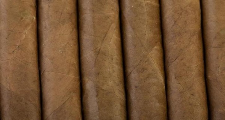 黑猫(朝鲜版)价格表一览 黑猫(朝鲜版)价格表图一览表 