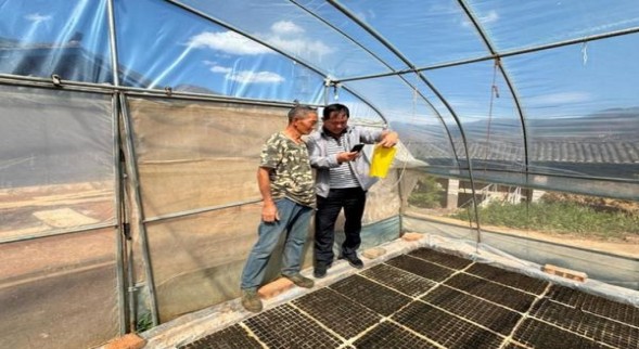 红塔山(传奇细支升级版)一手价格，红塔山(传奇细支升级版)价格表图一览表