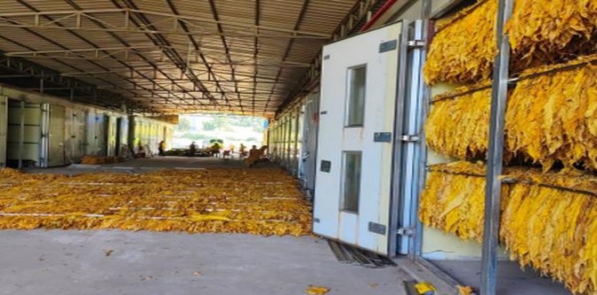 长城(132迷你3号)多少钱一盒？长城(132迷你3号)批发价格是多少？