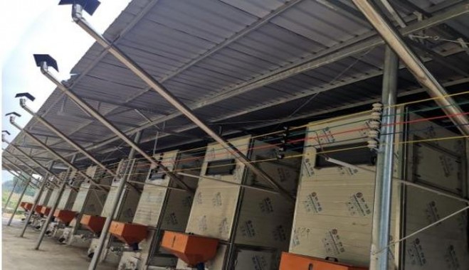 泰瑞登低焦100S美版香烟价格表2024 泰瑞登低焦100S美版价格查询 