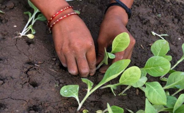 红河(硃砂道)价钱批发 红河(硃砂道)香烟价格表2025 