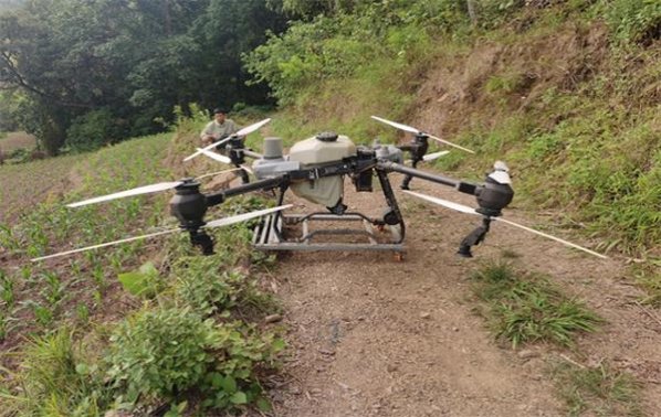 梅花王(硬红)一手渠道，梅花王(硬红)多少钱一包2024？