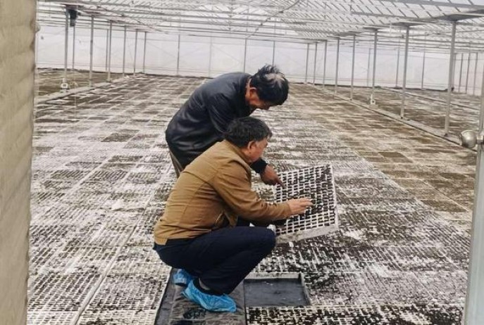 热点讨论！在哪买烟比较全“得意洋洋”