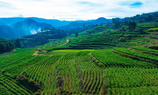 ESSE(Change Double)价格表和图片 ESSE(Change Double)价格表图一览表 