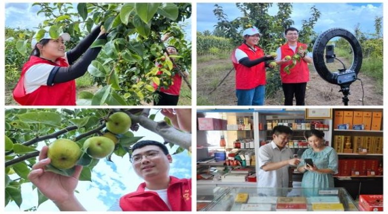 和平(软黄日税版)什么价格？和平(软黄日税版)多少钱一包？