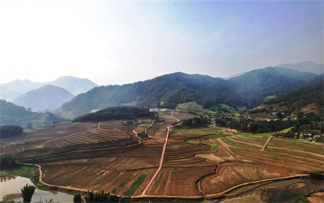 芙蓉王韶山价格表图一览表 芙蓉王韶山价钱批发 