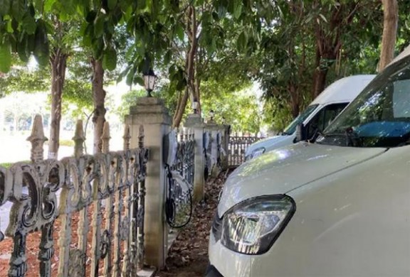 七星(2025樱花3mg限定日税版)参数详解 七星(2025樱花3mg限定日税版)香烟价格表2025 