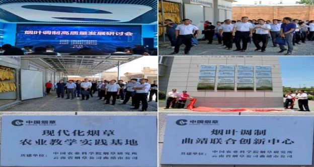 555硬红勋章侧推版多少钱一包2024？555硬红勋章侧推版多少钱一包2024？