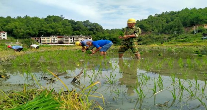 黑魔鬼(2000日版)价格表一览 黑魔鬼(2000日版)香烟正品价格表 