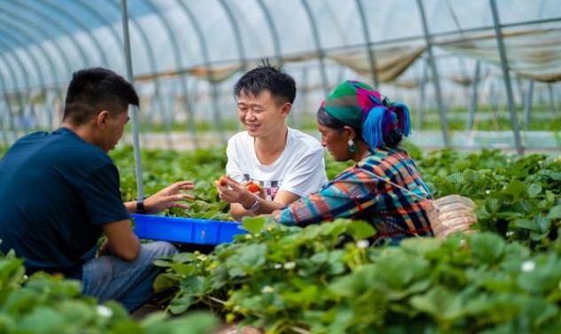 红金龙软精品二代价格查询 红金龙软精品二代价格查询 