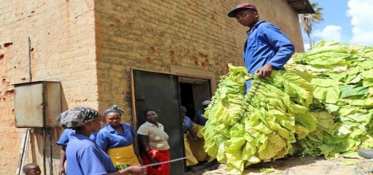 苏烟金砂2多少钱一盒？苏烟金砂2价格表和图片