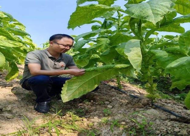 爱喜(超细低焦油)价格表图一览表 爱喜(超细低焦油)价钱批发 