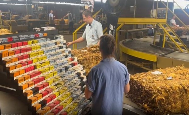 中华(软)批发价格是多少？中华(软)什么价格？