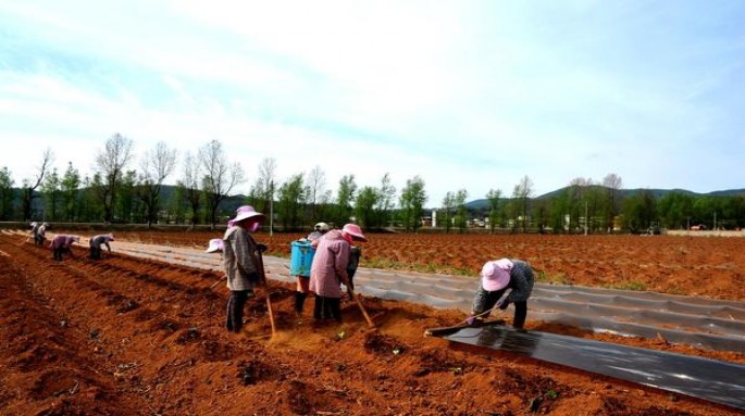 登喜路红新西兰版价格表和图片登喜路红新西兰版价格表和图片